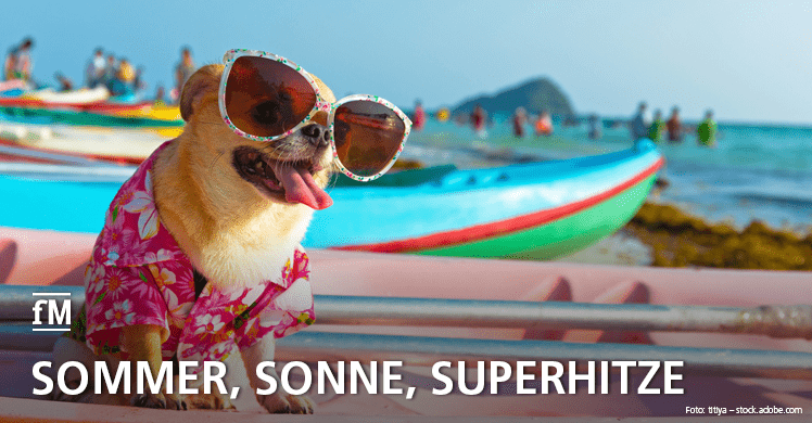 Ein kleiner Hund mit großer Sonnenbrille und pinkem Hawaiihemd sitzt auf einem rosa Surfbrett. Im Hintergrund ein sonniger Strand mit Menschen und bunten Booten. Text in Großbuchstaben am unteren Bildrand 'Sommer, Sonne, Superhitze'.